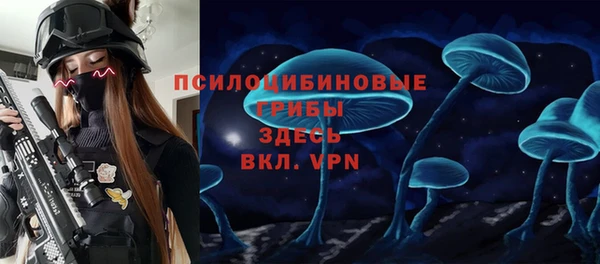 стаф Богданович