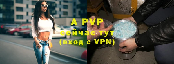 стаф Богданович