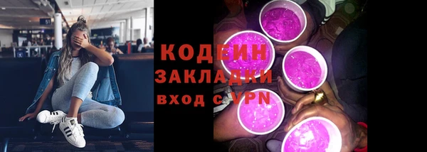 стаф Богданович