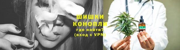 стаф Богданович