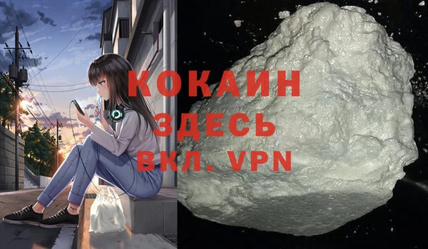 не бодяженный Бородино