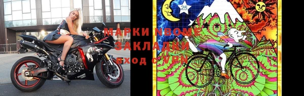 не бодяженный Бородино