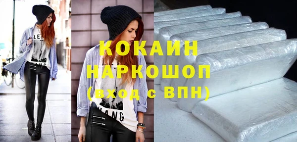 стаф Богданович