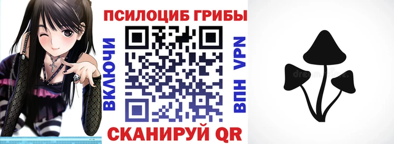 Купить закладки  Никольское  Псилоцибиновые грибы Magic Shrooms 