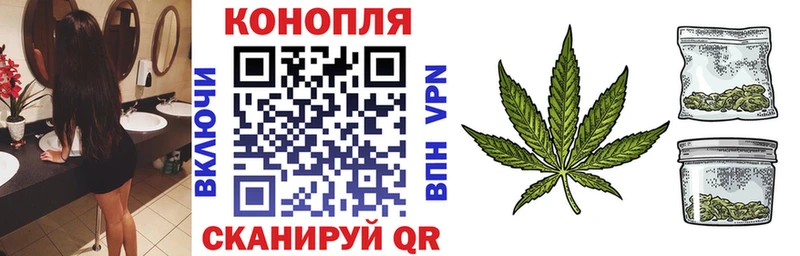 Шишки марихуана Bruce Banner  Купить где  Никольское 